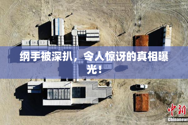 纲手被深扒，令人惊讶的真相曝光！