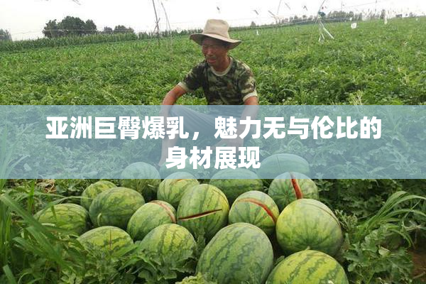 亚洲巨臀爆乳，魅力无与伦比的身材展现