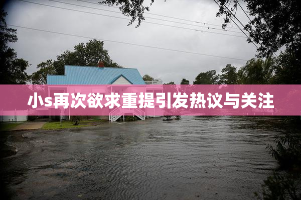 小s再次欲求重提引发热议与关注