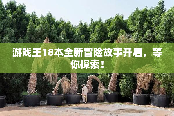 游戏王18本全新冒险故事开启，等你探索！