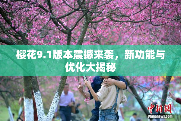 樱花9.1版本震撼来袭，新功能与优化大揭秘