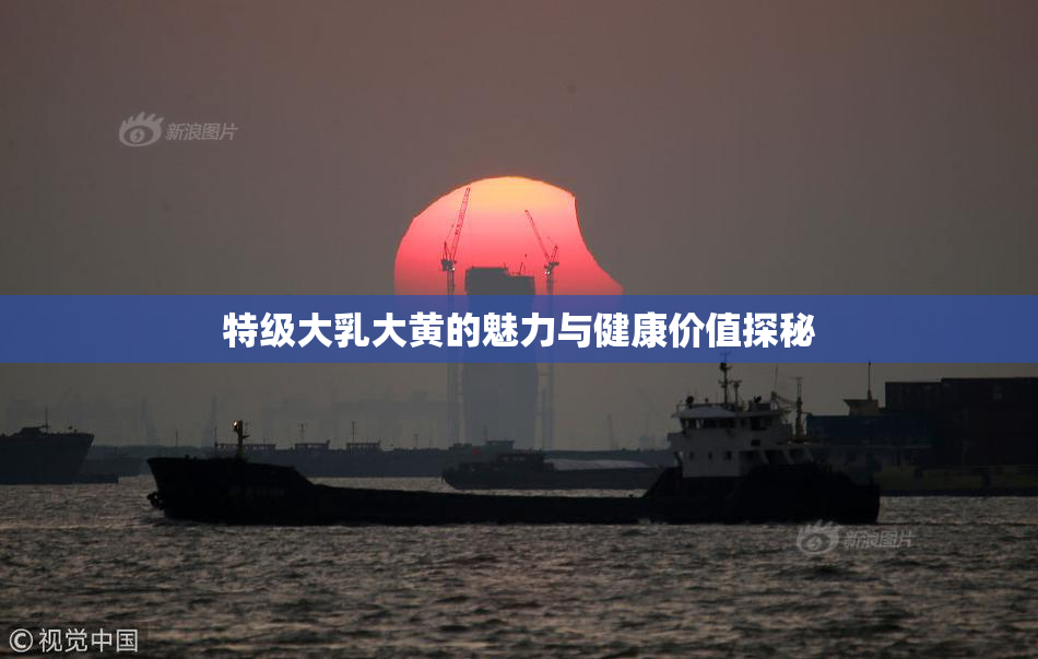 特级大乳大黄的魅力与健康价值探秘