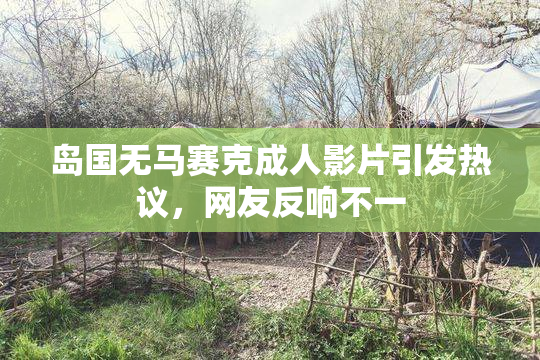 岛国无马赛克成人影片引发热议，网友反响不一