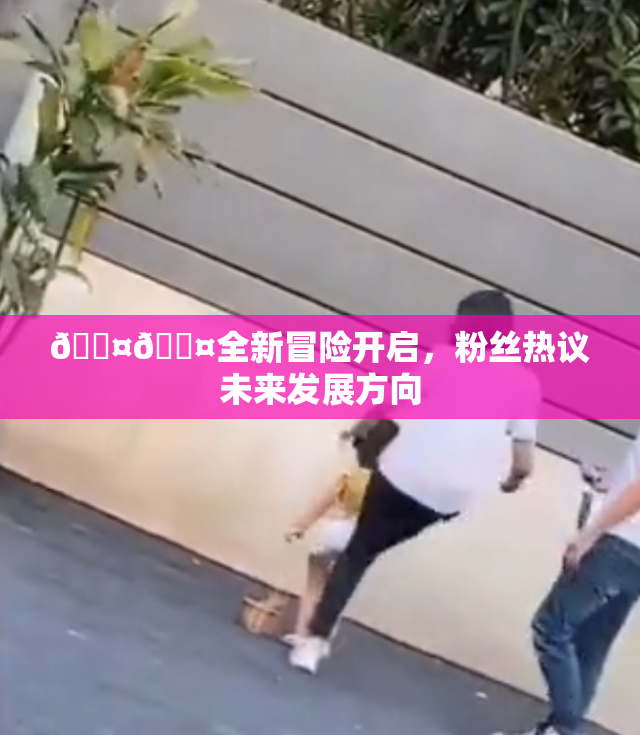 🐤🐤全新冒险开启，粉丝热议未来发展方向