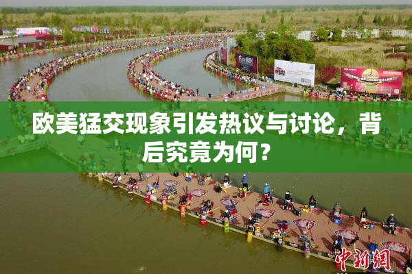 欧美猛交现象引发热议与讨论，背后究竟为何？