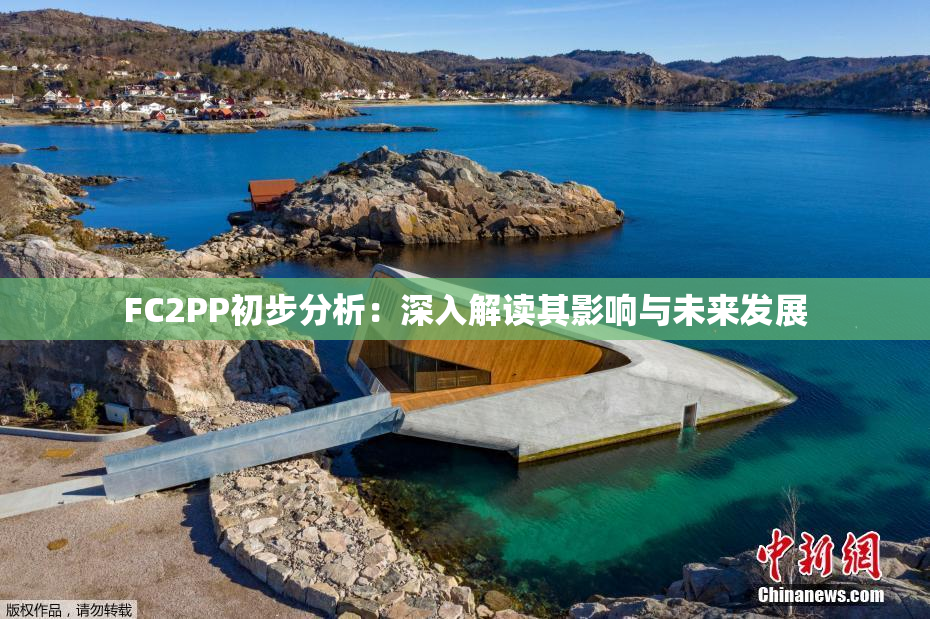 FC2PP初步分析：深入解读其影响与未来发展