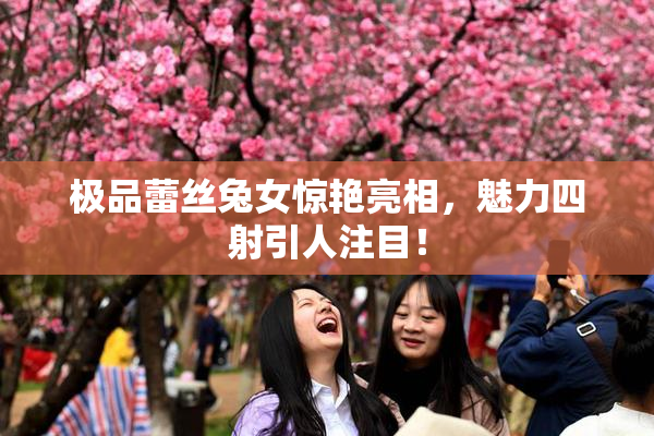 极品蕾丝兔女惊艳亮相，魅力四射引人注目！