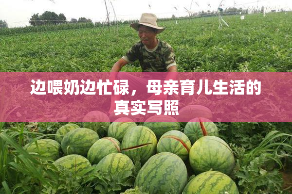 边喂奶边忙碌，母亲育儿生活的真实写照