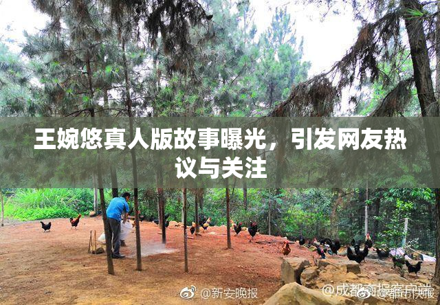 王婉悠真人版故事曝光，引发网友热议与关注