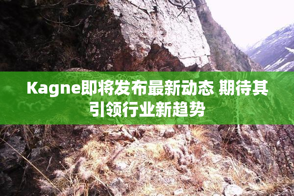 Kagne即将发布最新动态 期待其引领行业新趋势
