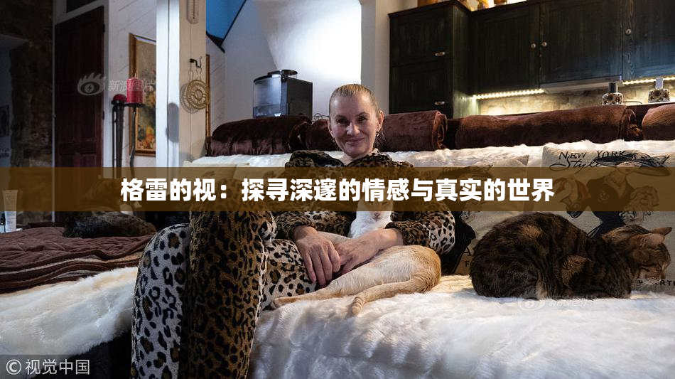 格雷的视：探寻深邃的情感与真实的世界