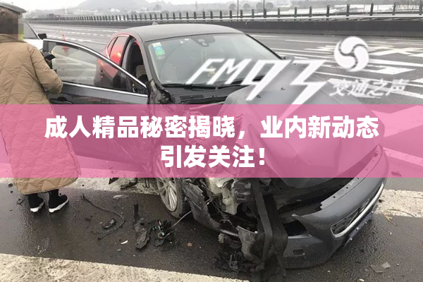 成人精品秘密揭晓，业内新动态引发关注！