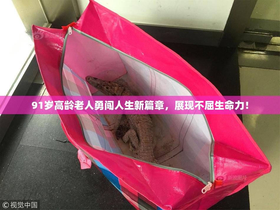 91岁高龄老人勇闯人生新篇章，展现不屈生命力！