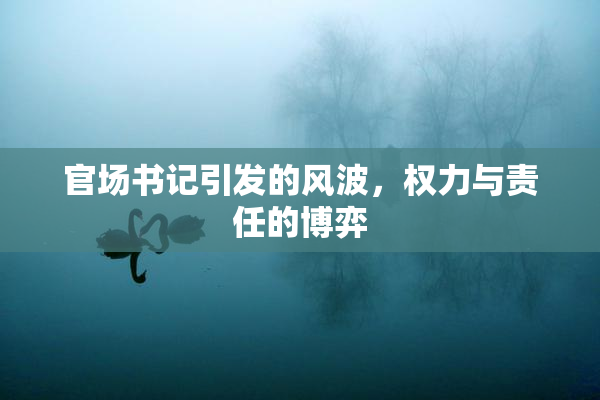 官场书记引发的风波，权力与责任的博弈