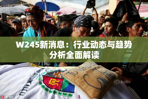 W245新消息：行业动态与趋势分析全面解读