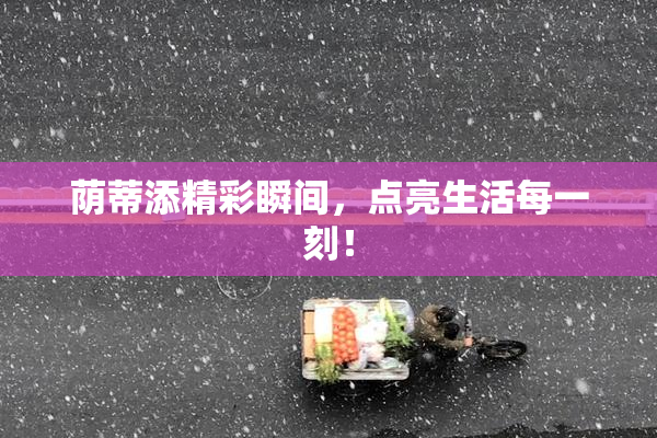荫蒂添精彩瞬间，点亮生活每一刻！