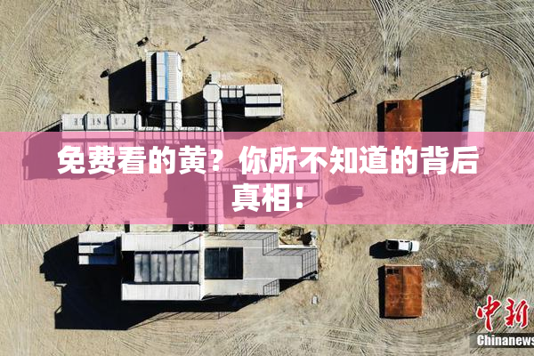 免费看的黄？你所不知道的背后真相！