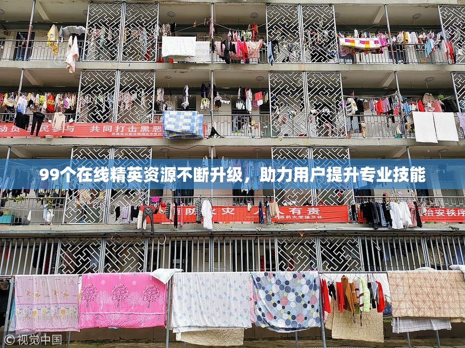 99个在线精英资源不断升级，助力用户提升专业技能