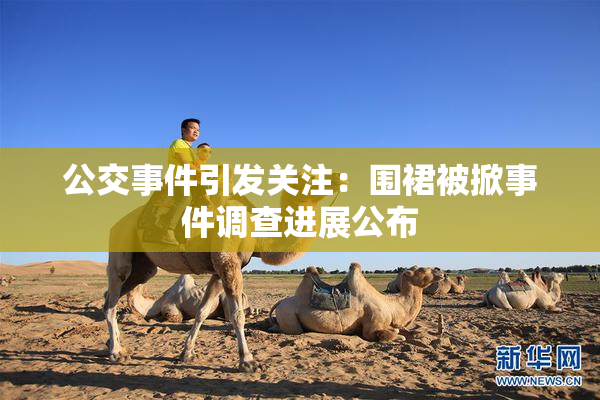 公交事件引发关注：围裙被掀事件调查进展公布