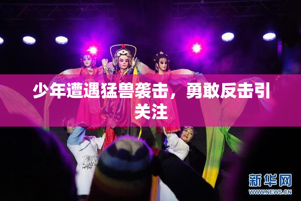 少年遭遇猛兽袭击，勇敢反击引关注