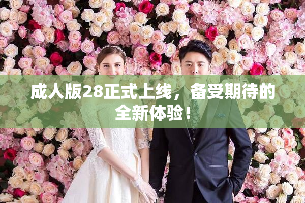 成人版28正式上线，备受期待的全新体验！