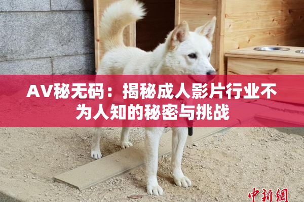 AV秘无码：揭秘成人影片行业不为人知的秘密与挑战