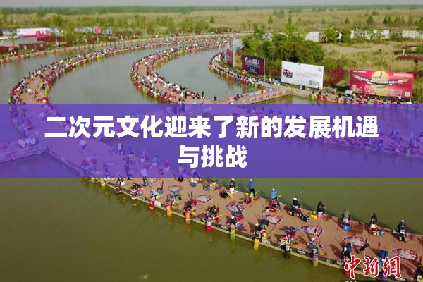 二次元文化迎来了新的发展机遇与挑战