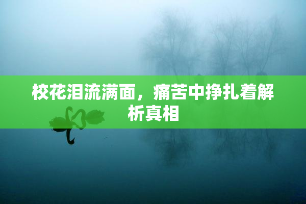 校花泪流满面，痛苦中挣扎着解析真相