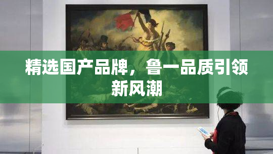 精选国产品牌，鲁一品质引领新风潮