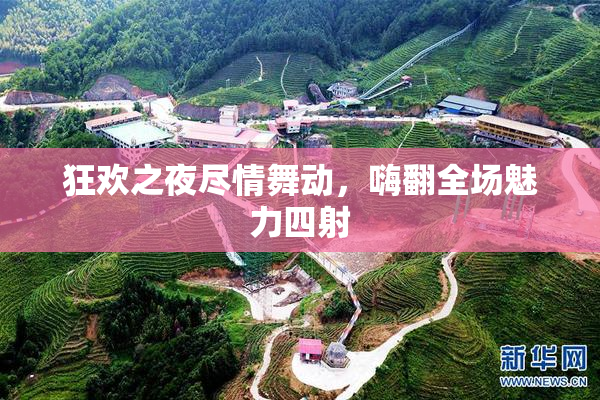 狂欢之夜尽情舞动，嗨翻全场魅力四射