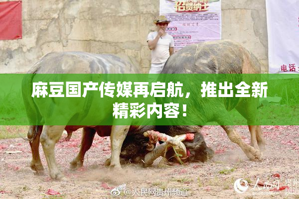 麻豆国产传媒再启航，推出全新精彩内容！