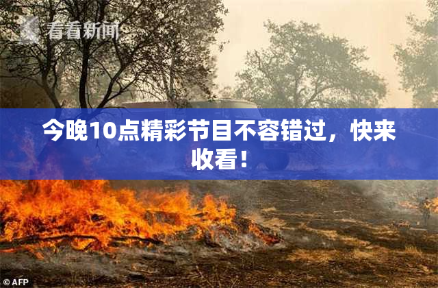 今晚10点精彩节目不容错过，快来收看！