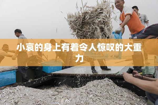 小哀的身上有着令人惊叹的大重力