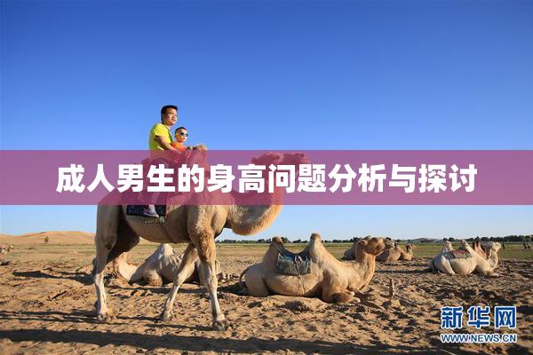 成人男生的身高问题分析与探讨