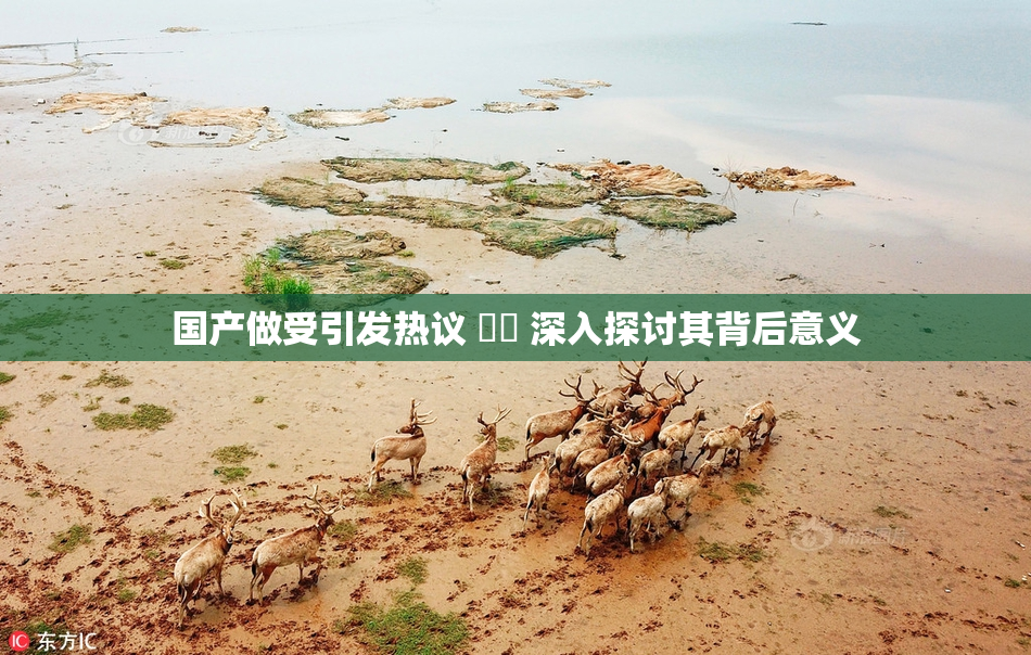 国产做受引发热议 ❌‌ 深入探讨其背后意义