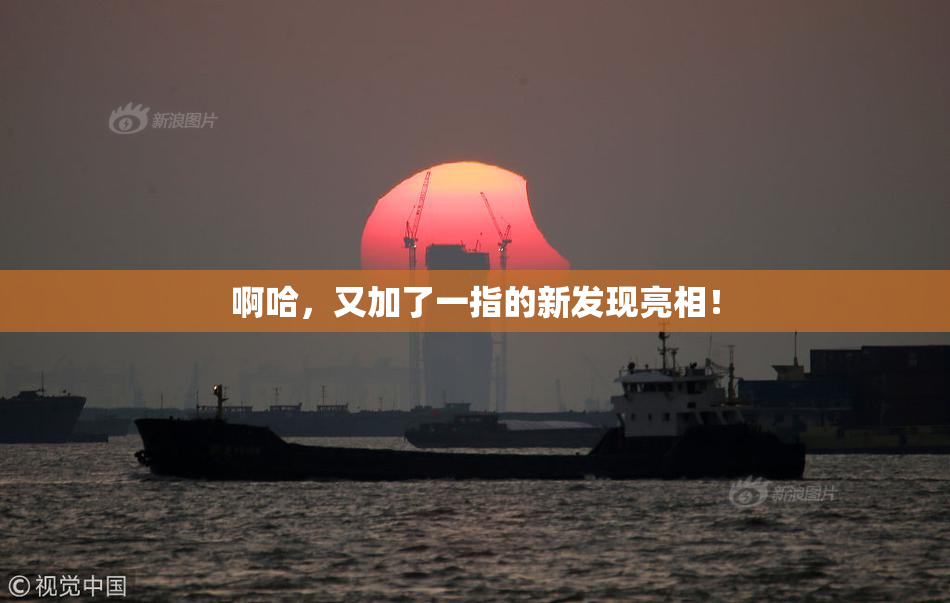 啊哈，又加了一指的新发现亮相！