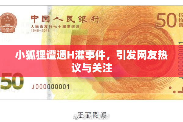 小狐狸遭遇H灌事件，引发网友热议与关注