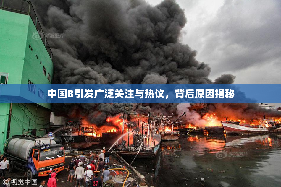 中国B引发广泛关注与热议，背后原因揭秘