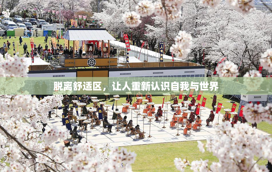 脱离舒适区，让人重新认识自我与世界