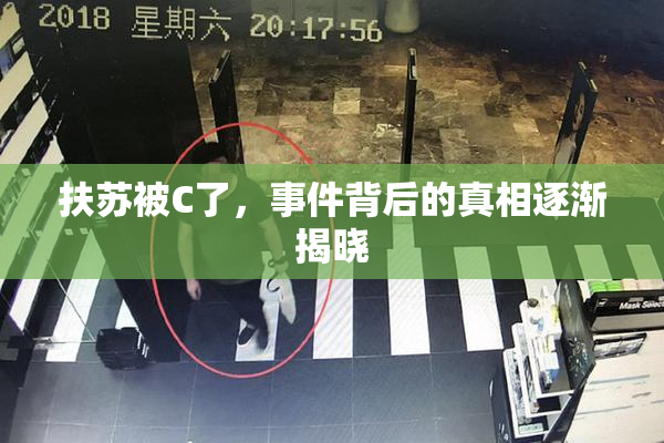 扶苏被C了，事件背后的真相逐渐揭晓