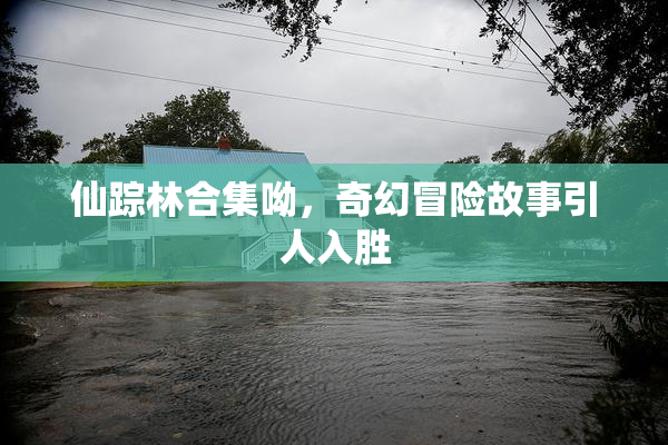 仙踪林合集呦，奇幻冒险故事引人入胜