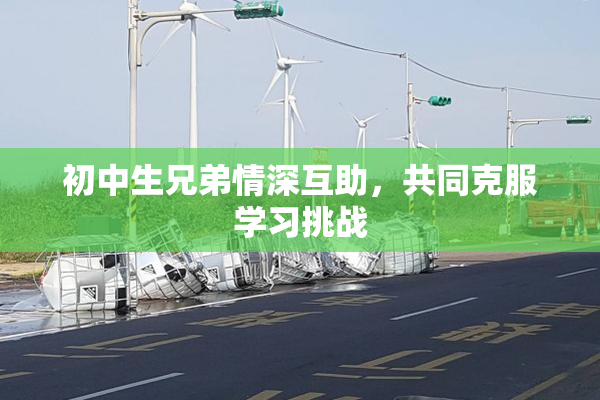 初中生兄弟情深互助，共同克服学习挑战