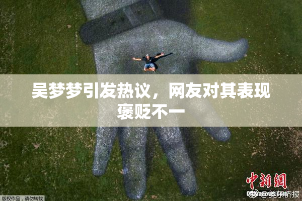 吴梦梦引发热议，网友对其表现褒贬不一