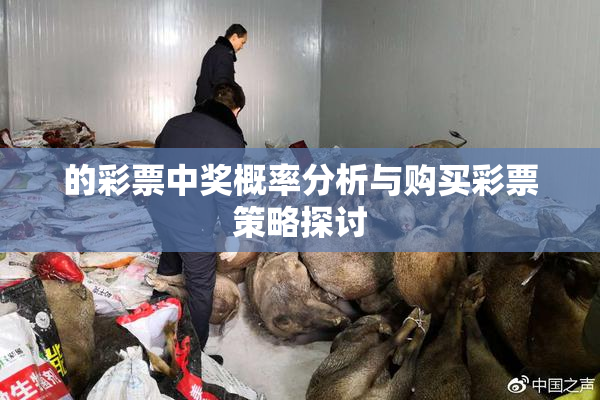 的彩票中奖概率分析与购买彩票策略探讨