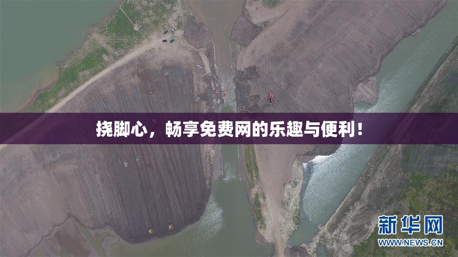 挠脚心，畅享免费网的乐趣与便利！