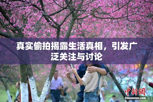 真实偷拍揭露生活真相，引发广泛关注与讨论