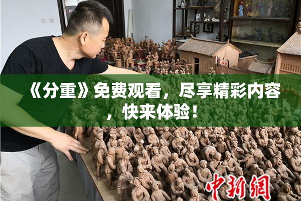 《分重》免费观看，尽享精彩内容，快来体验！