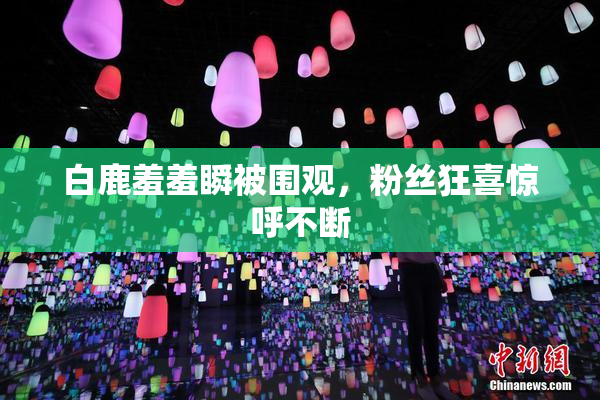 白鹿羞羞瞬被围观，粉丝狂喜惊呼不断
