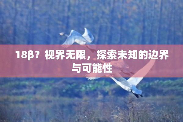 18β？视界无限，探索未知的边界与可能性