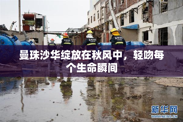 曼珠沙华绽放在秋风中，轻吻每个生命瞬间